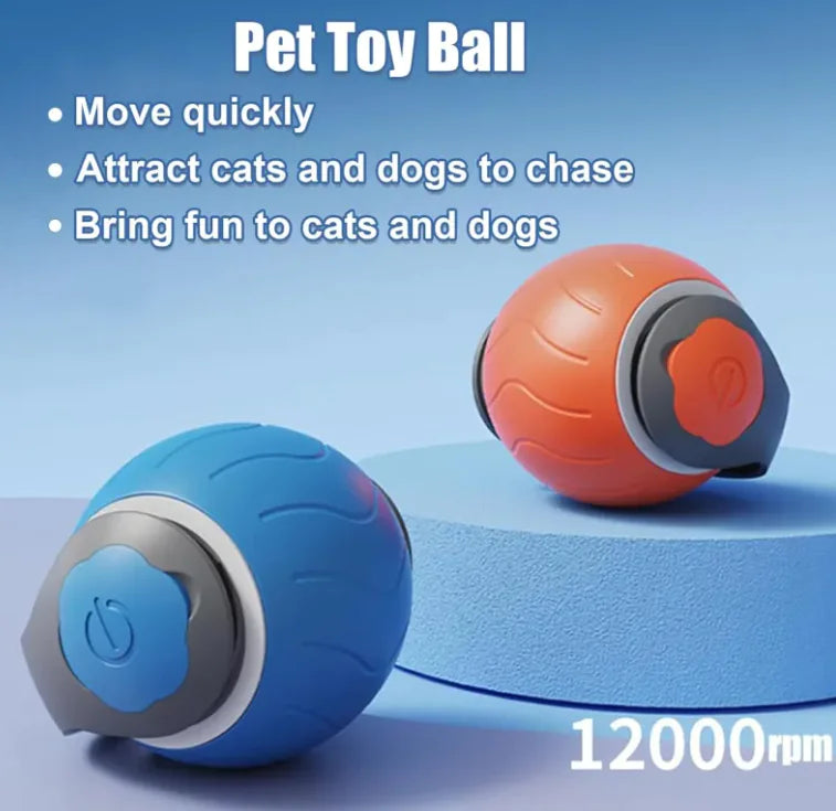 Speedy Tail Toy