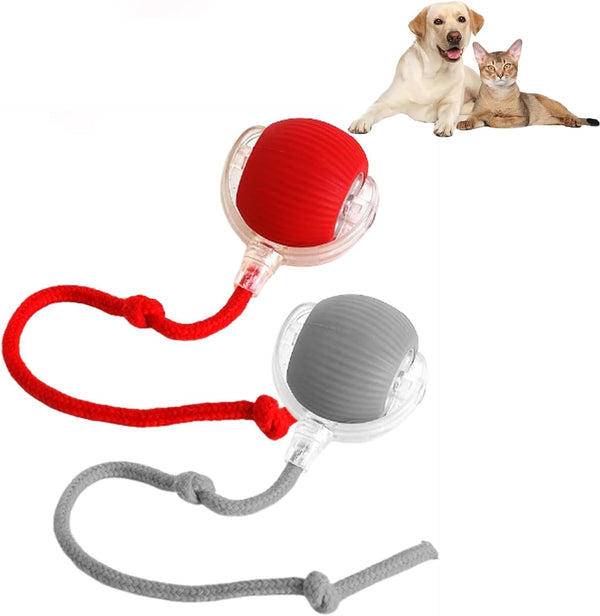Smart Play Ball for Pets