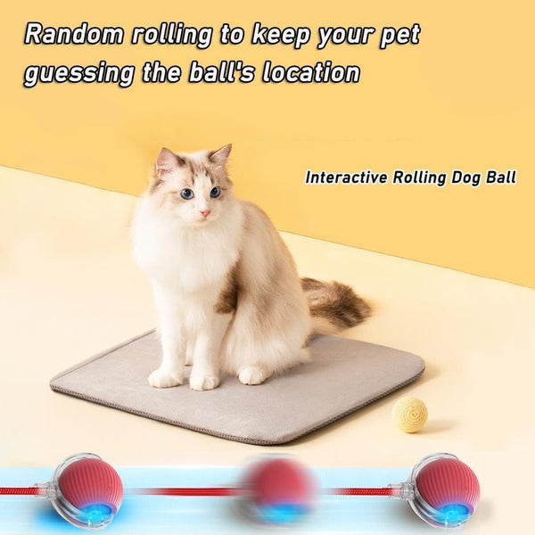 Smart Play Ball for Pets