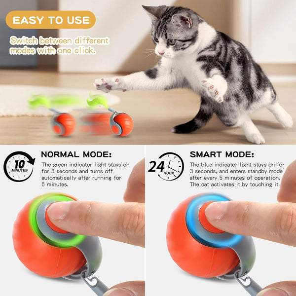 Speedy Tail Toy